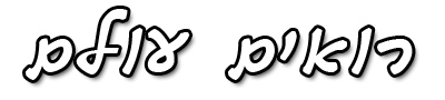 מגבים לרכב - רואים עולם